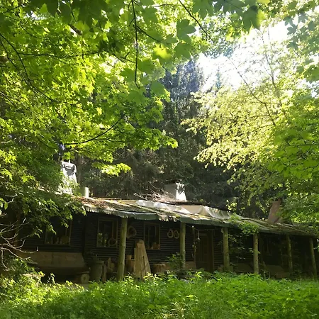 Wilde Auwaldhaus Appartamento *