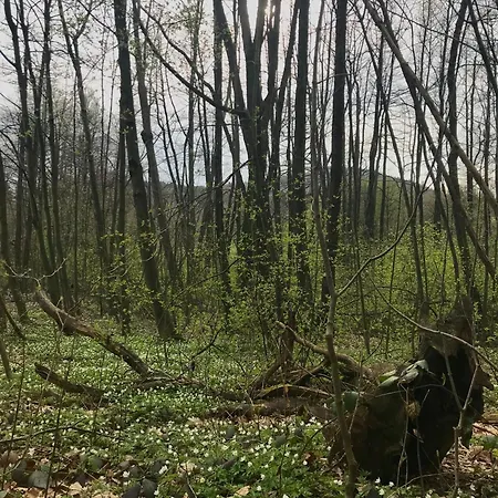 Wilde Auwaldhaus Διαμέρισμα