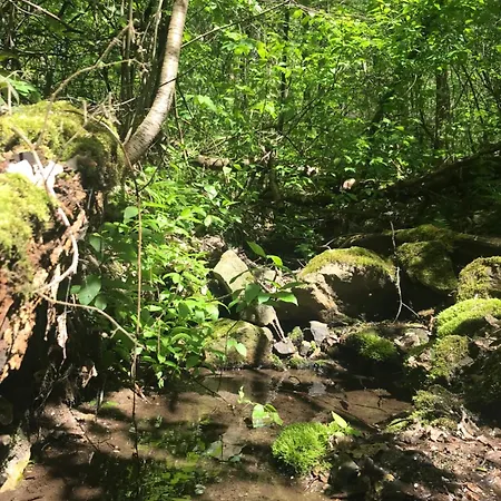 Wilde Auwaldhaus Διαμέρισμα