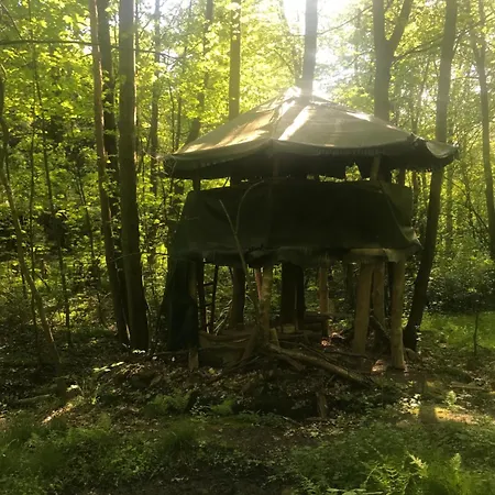 Wilde Auwaldhaus Διαμέρισμα Bertsdorf